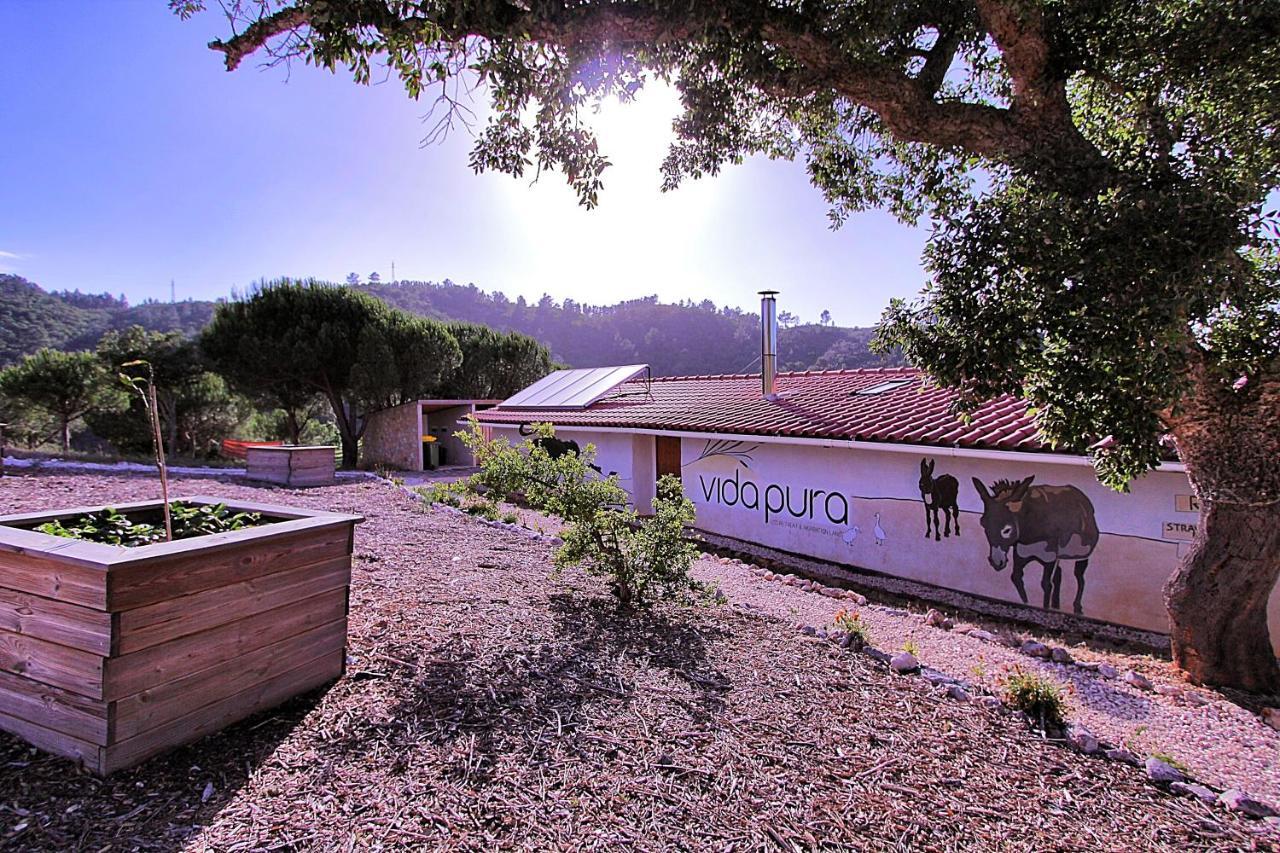 Vida Pura Apartments Odeceixe Dış mekan fotoğraf